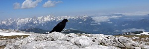 Schönsten Bergtouren in Oberösterreich