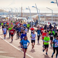 Ergebnisse Den Haag Halbmarathon 2024