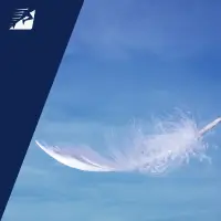 Die leichtesten Laufschuhe