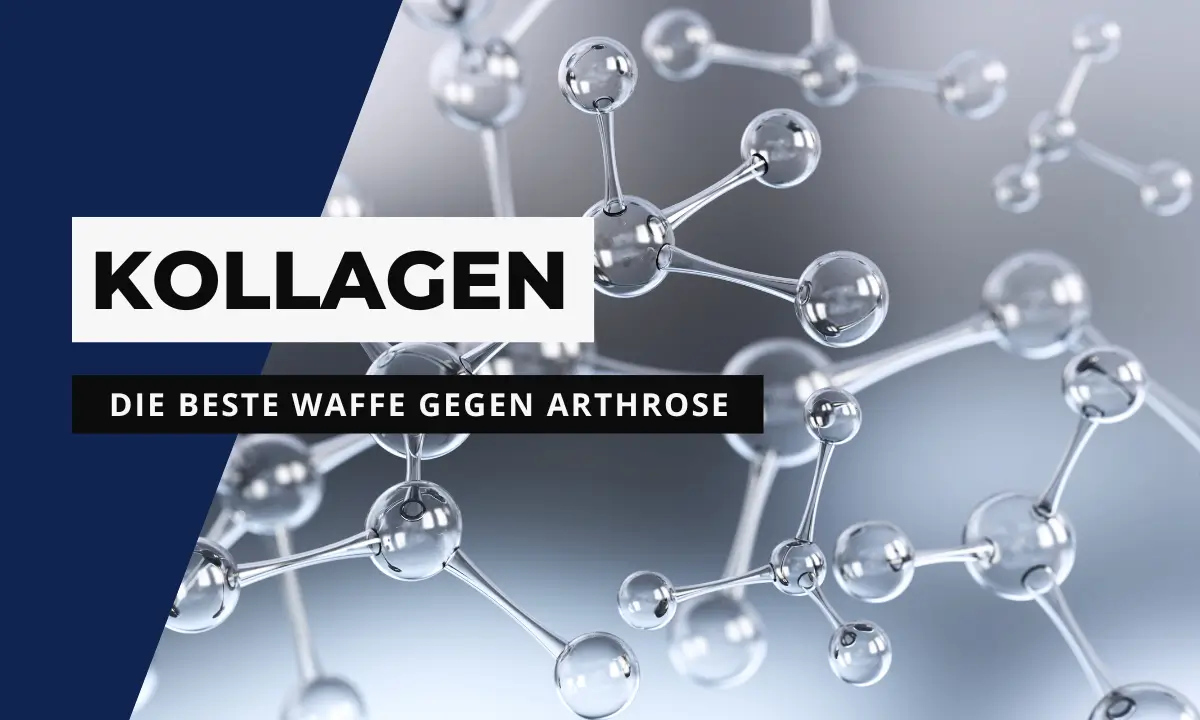 Schützt Kollagen vor Arthrose?