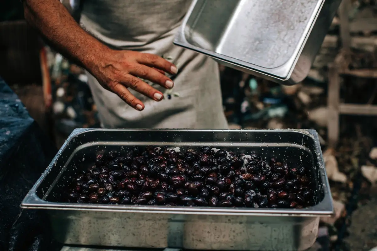 Eine Schüssel mit vielen Oliven