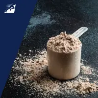 Hochwertige Proteinshakes zum Abnehmen