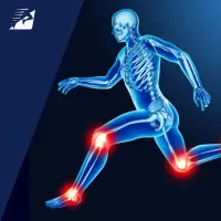 Das Thema Gelenksgesundheit ist beim Laufen sehr umstritten.