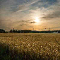 Foto (C) Bernd Kasper / pixelio.de