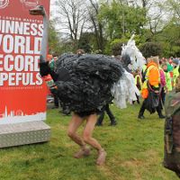 Verrückte Marathon-Weltrekorde