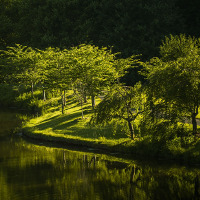 Laufszene unter Schock: Läuferin nach Übergriff schwer verletzt