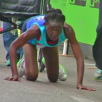 Die Top 10 der beliebtesten Artikel 2015!