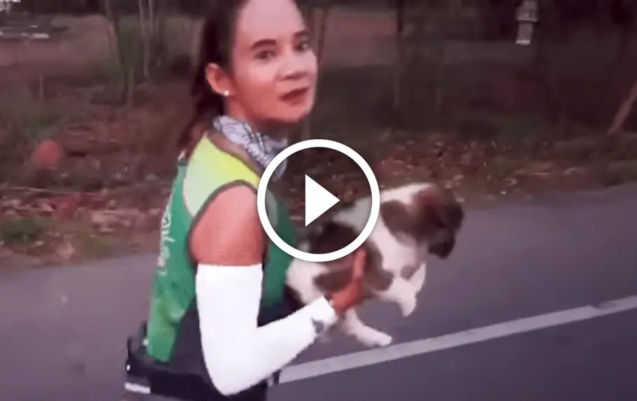 Marathon Hund Youtube 900