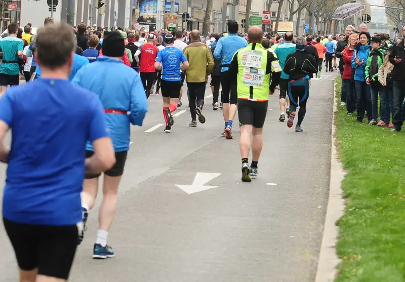 Vienna City Marathon 2016 Back 800