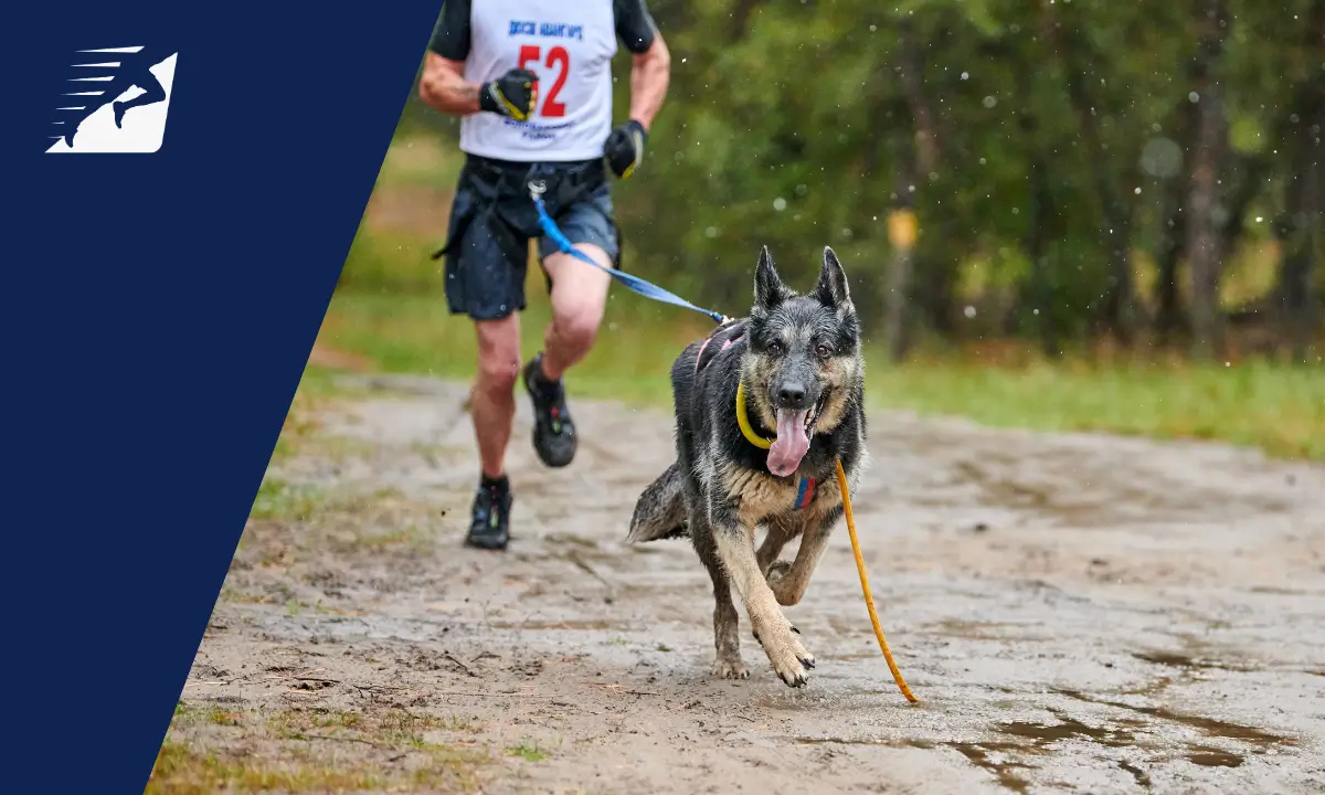 Ein Mann läuft mit einem Hund