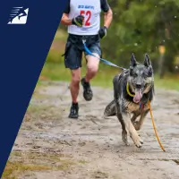 Ein Mann läuft mit einem Hund