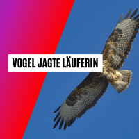 Schreckmoment: Spitzenläuferin von Vogel angegriffen