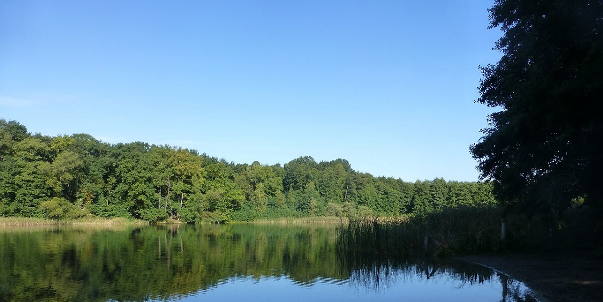 Total krank: Unbekannter platzierte auf Laufstrecke Schraubenfalle!