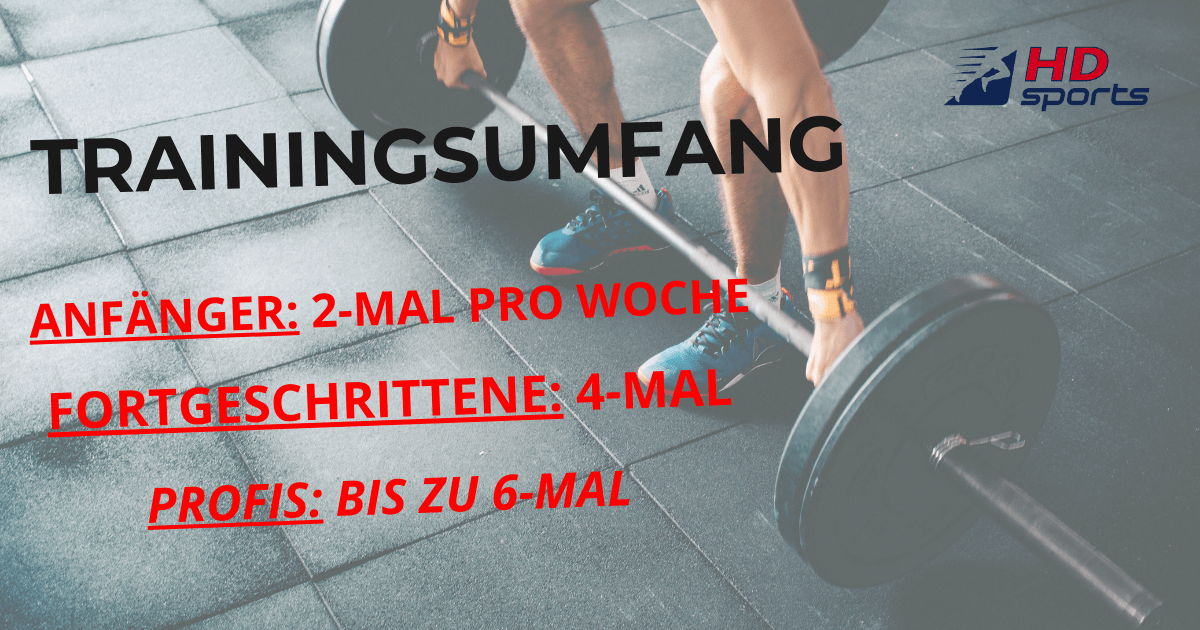 trainingsumfang krafttraining anfaenger 1200