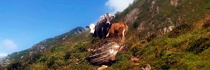 Wandern in den Tuxer Alpen