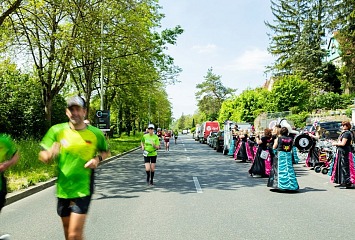 Ergebnisse Heilbronner Trollinger Marathon 2024