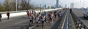 Profis bei einem Marathon in Wien auf der Reichsbrücke