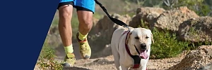Canicross - ein Mann beim Laufen auf Trails mit seinem Hund.