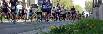 Vienna City Marathon