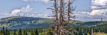 Die höchsten Berge im Schwarzwald