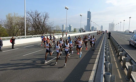 Profis bei einem Marathon in Wien auf der Reichsbrücke
