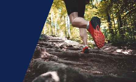 Tb W445 H270 Cut Int F418a095e6e496a4c01e7a695bc97a68