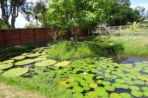 Guyana Marathon Guyana Marathon