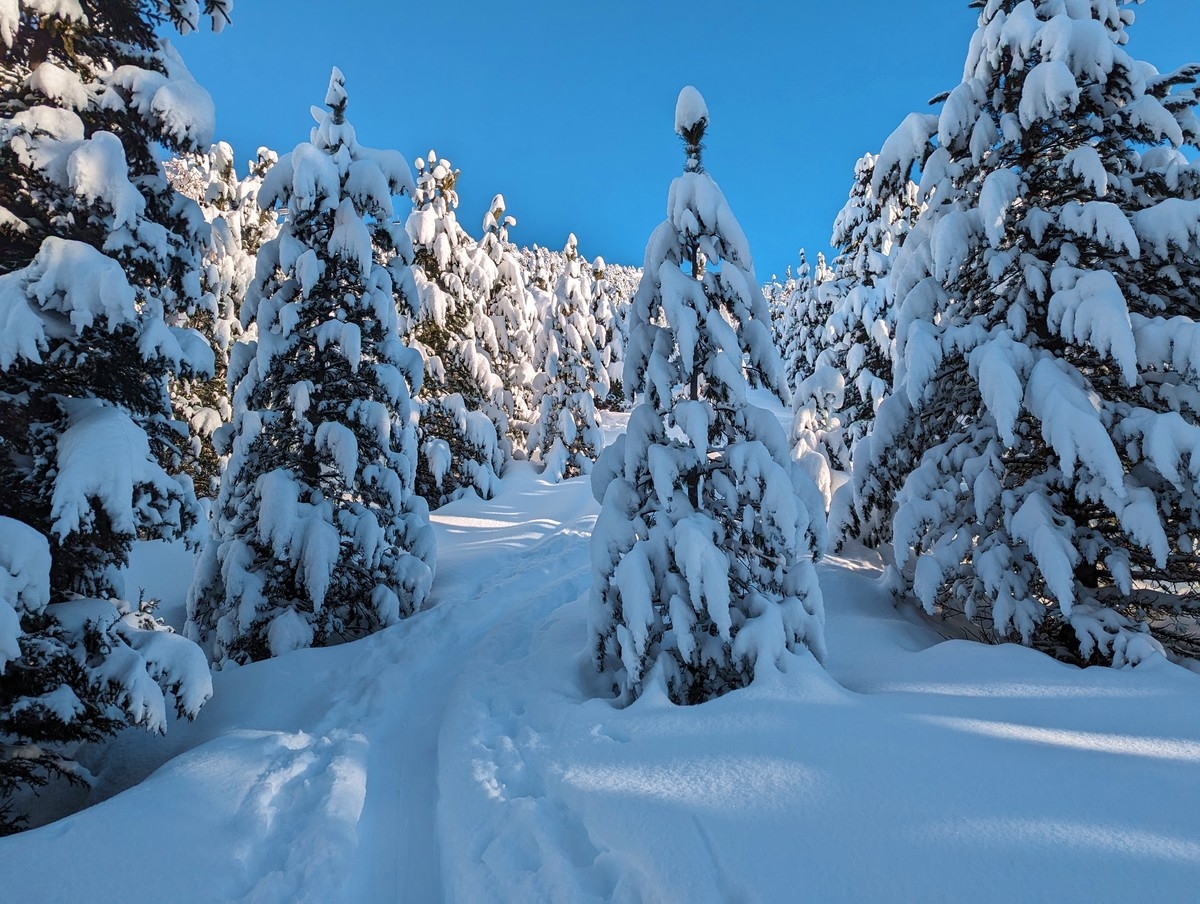 Skitouren am Hochzeiger, Teile der Route auch abseits der Piste.