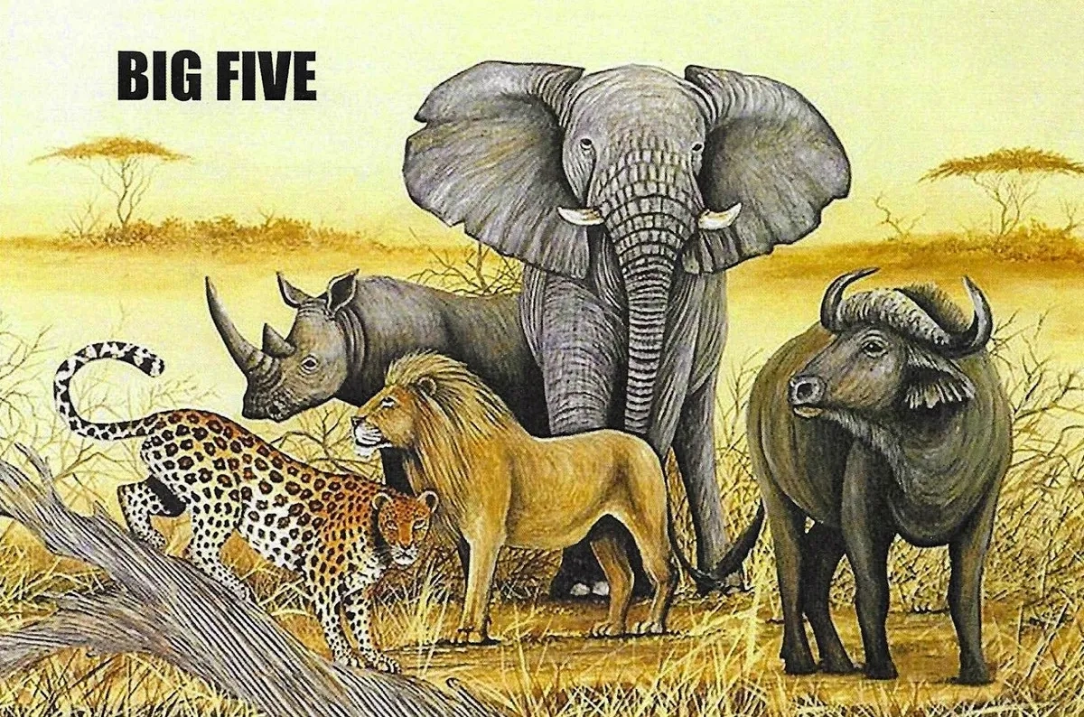 Big Five