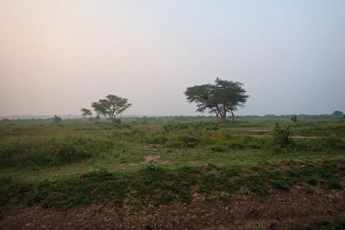 Rwenzori Marathon 2025 - 018: Safariabenteuer im Queen Elizabeth Nationalpark