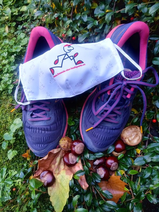  Benefizlauf der Freunde des Laufsports Austria 