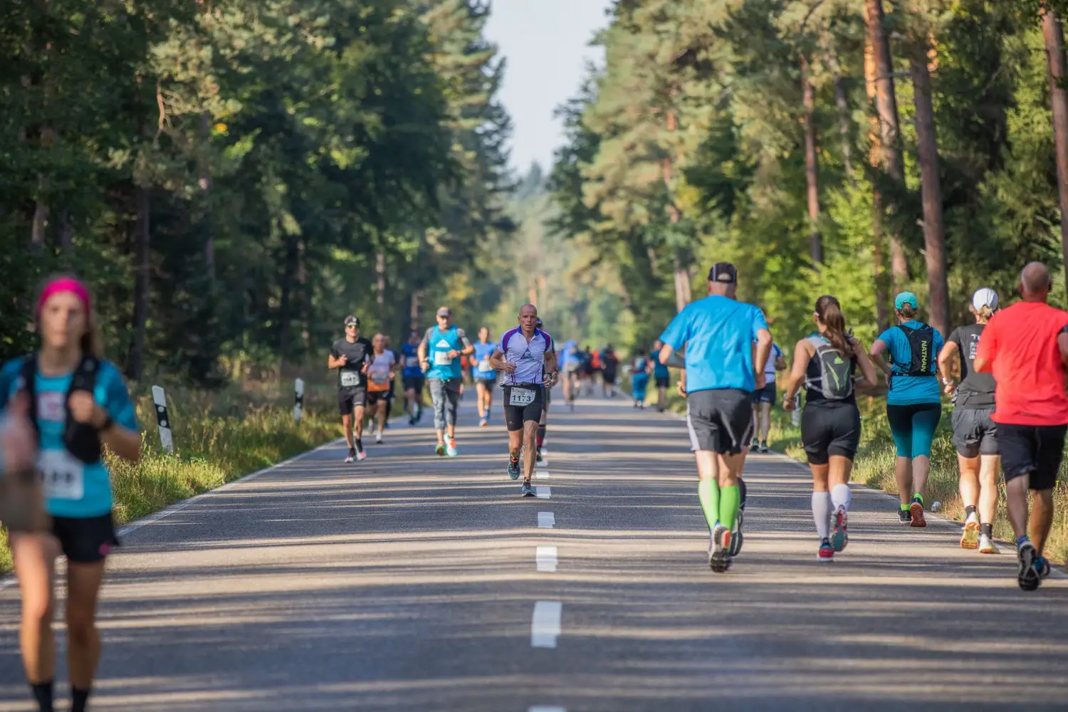 Bienwald Marathon Kandel Strecke