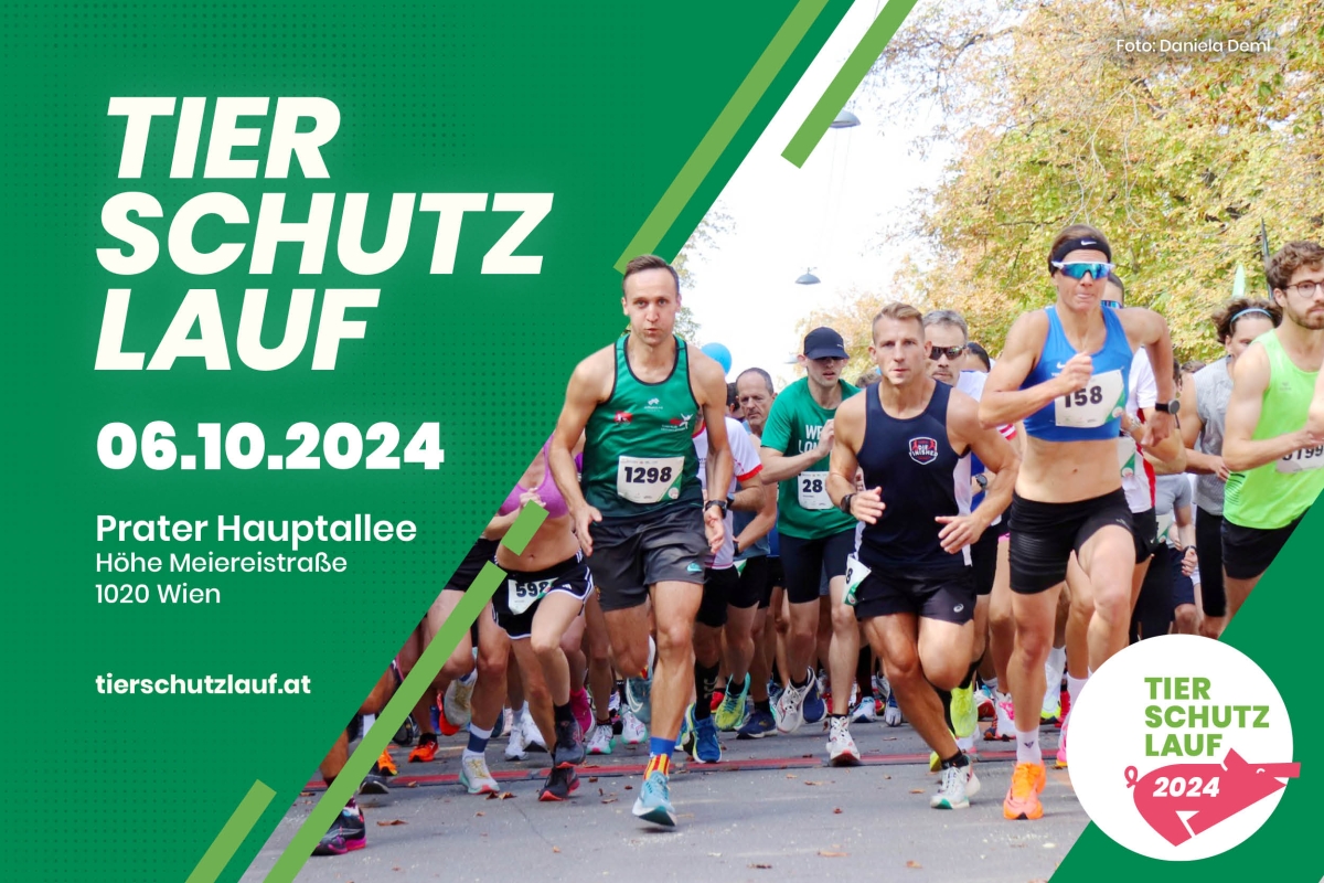 Teilnehmer beim Tierschutzlauf 2024