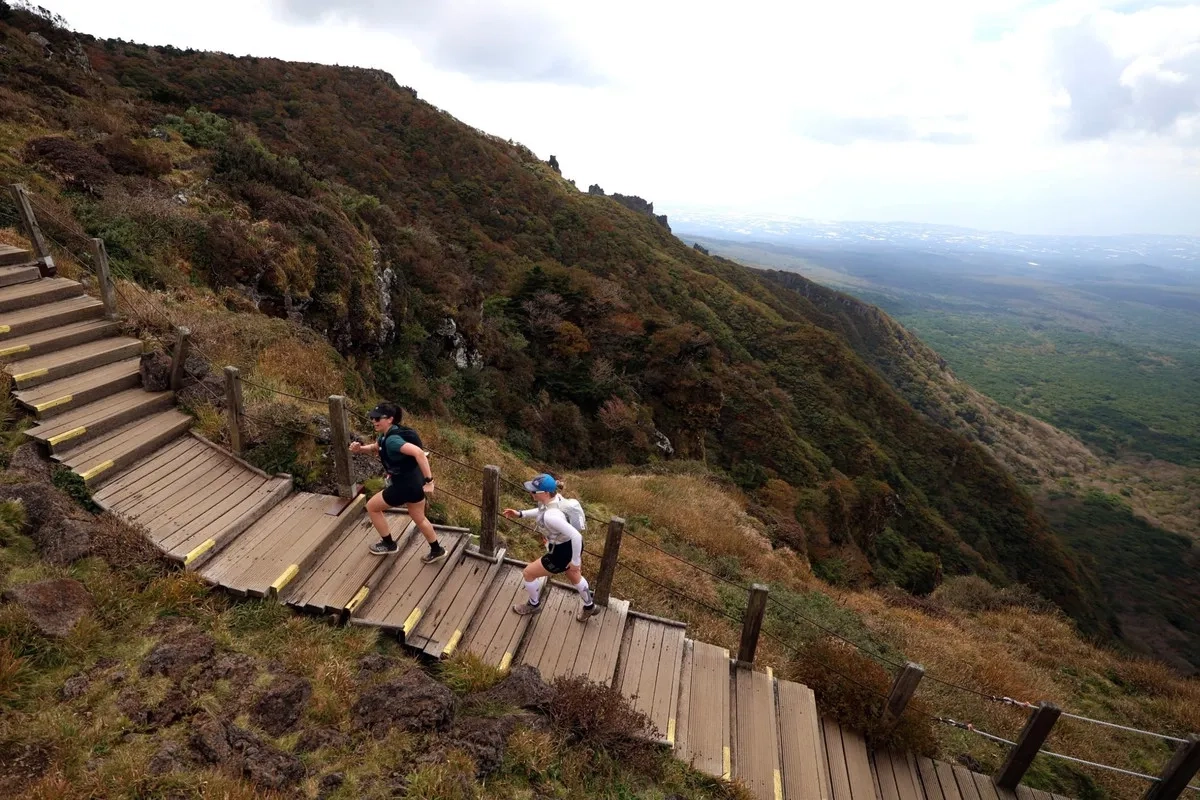 Transjeju Trans Jeju 2 1728936971