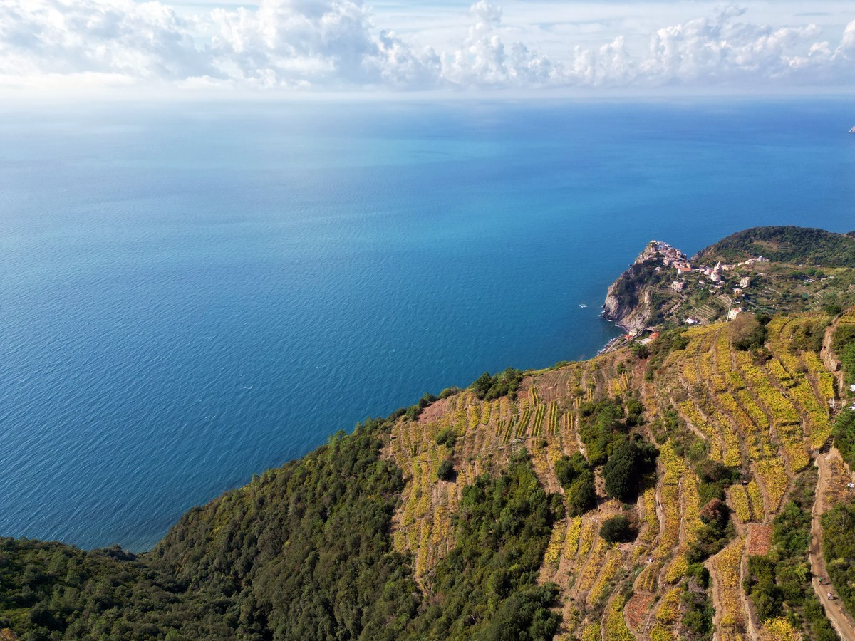 Sciacchetrail 55 1668069064