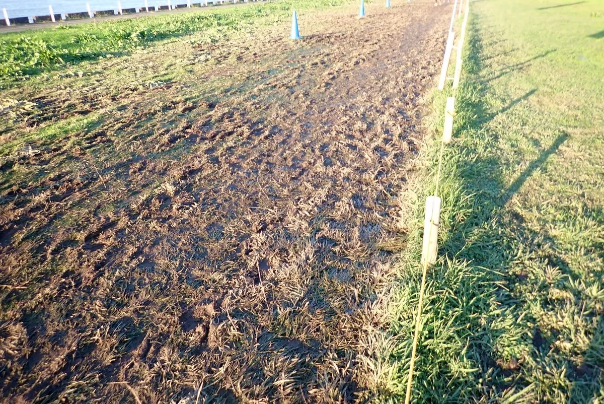 Osaka Yodo-River Marathon 2024