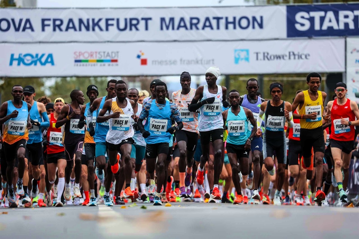 Start zum Frankfurt Marathon 2025