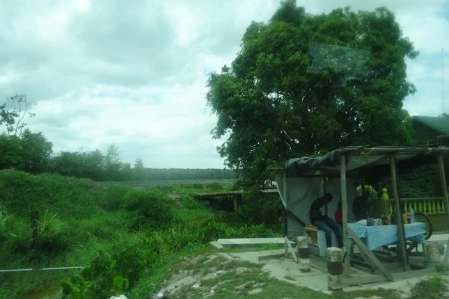 Guyana Marathon Guyana Marathon