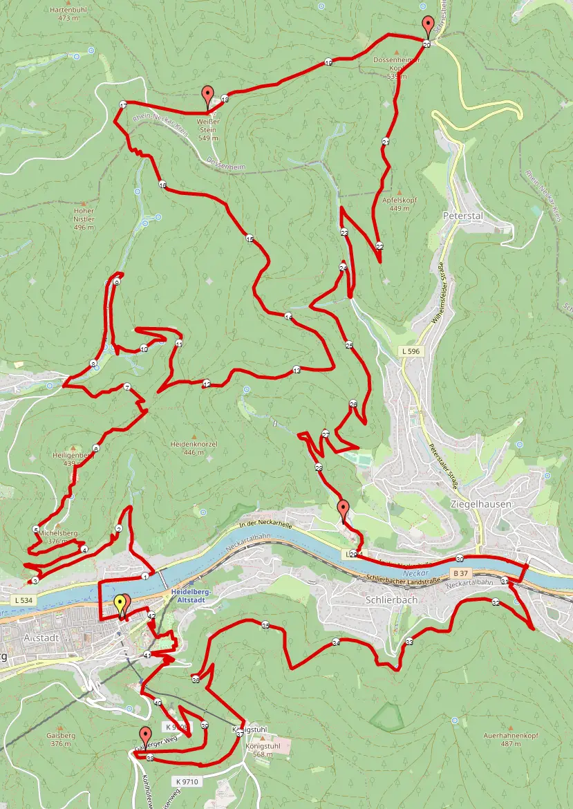 Strecke beim Trail Marathon Heidelberg