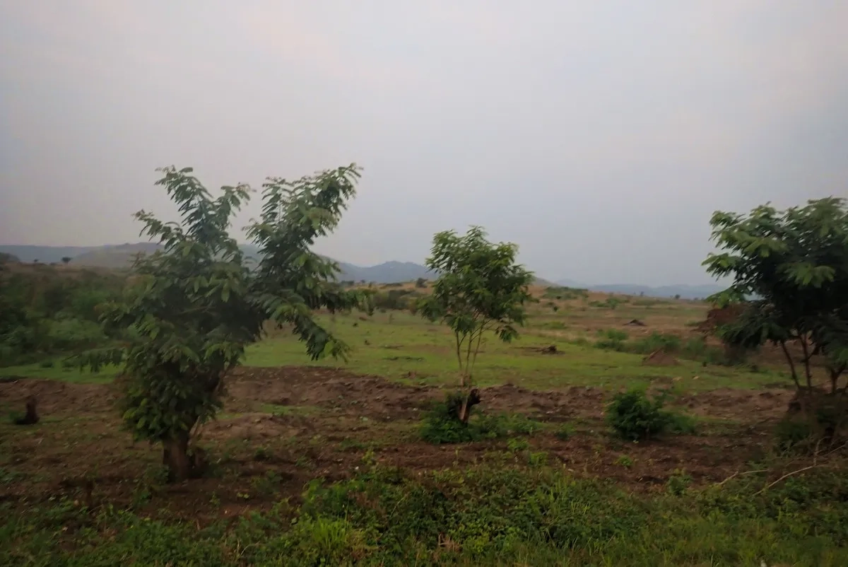 Rwenzori Marathon 2025