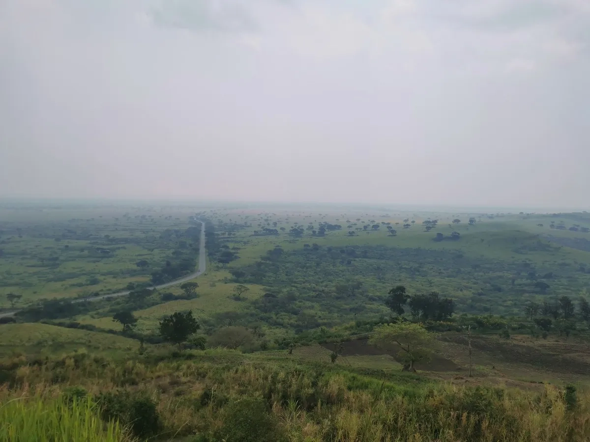 Rwenzori Marathon 2025 - 014: Aussicht