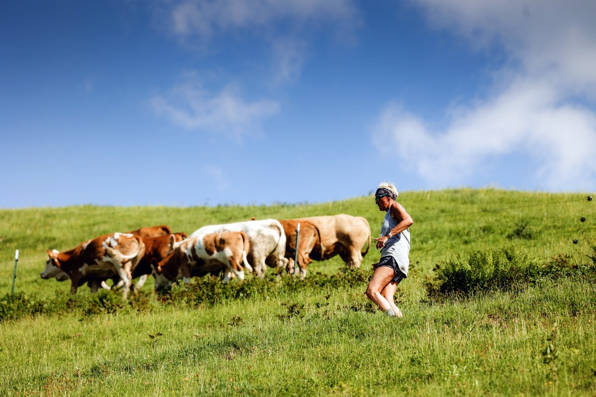 Hochkoenigman 15 1685960996