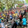 Heilbronner Trollinger Marathon (C) Veranstalter