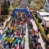 Spreewald-Marathon (c) Veranstalter