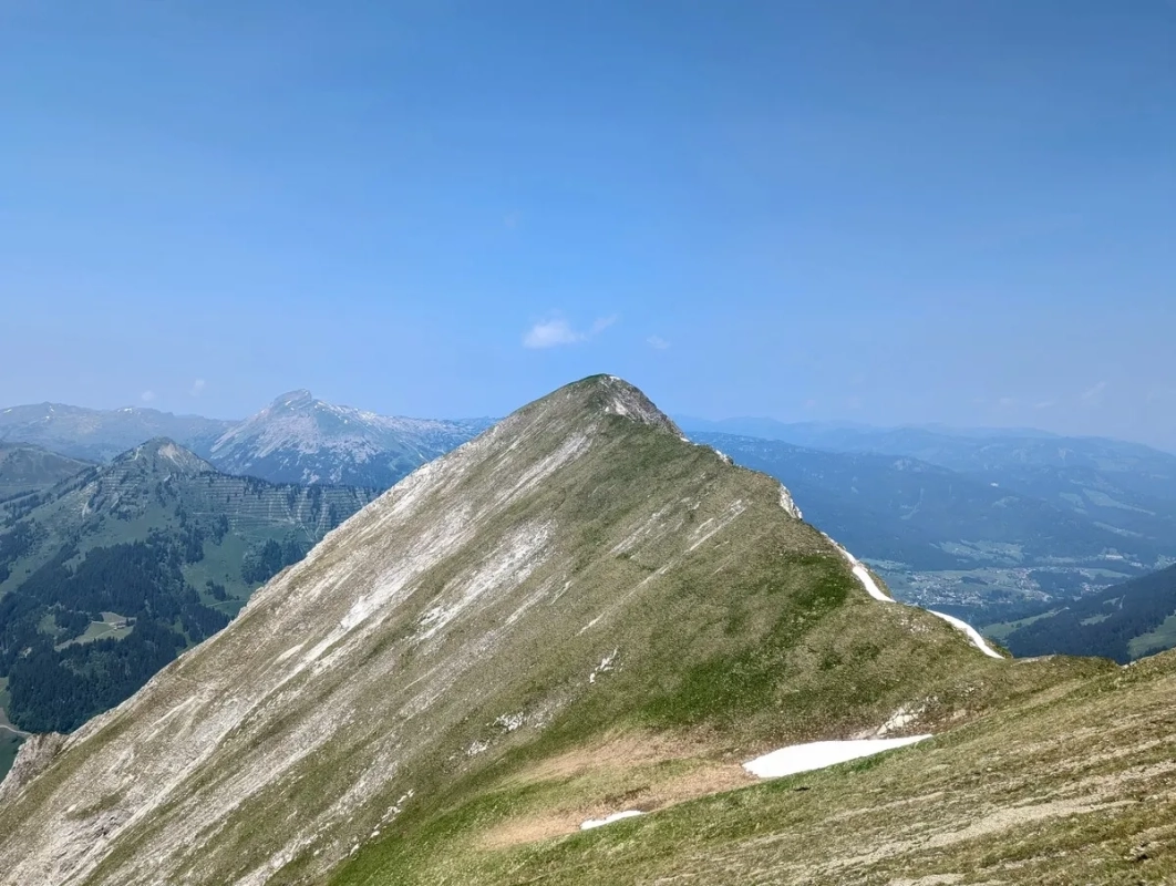 Zwölfer (Allgäu) im Juni 2025 Zwölfer (Allgäu) im Juni 2025