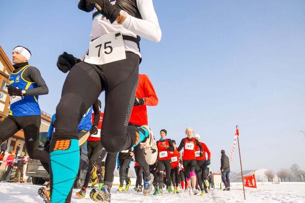 Dingolfinger Stadion-Crosslauf, Foto: Veranstalter Dingolfinger Stadion-Crosslauf, Foto: Veranstalter