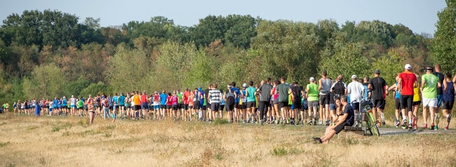 Cospudener Seelauf (C) Veranstalter Cospudener Seelauf (C) Veranstalter