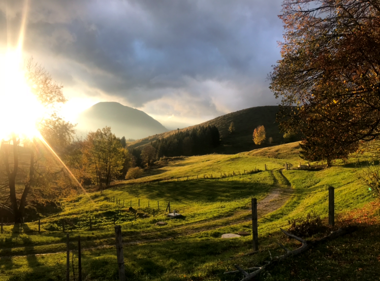 Anlaufalm, Fotos vom Hüttenpächter Anlaufalm, Fotos vom Hüttenpächter