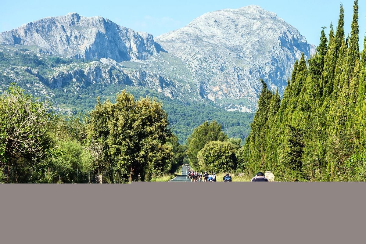 IRONMAN Mallorca, Foto: Getty Images for IRONMAN IRONMAN Mallorca, Foto: Getty Images for IRONMAN