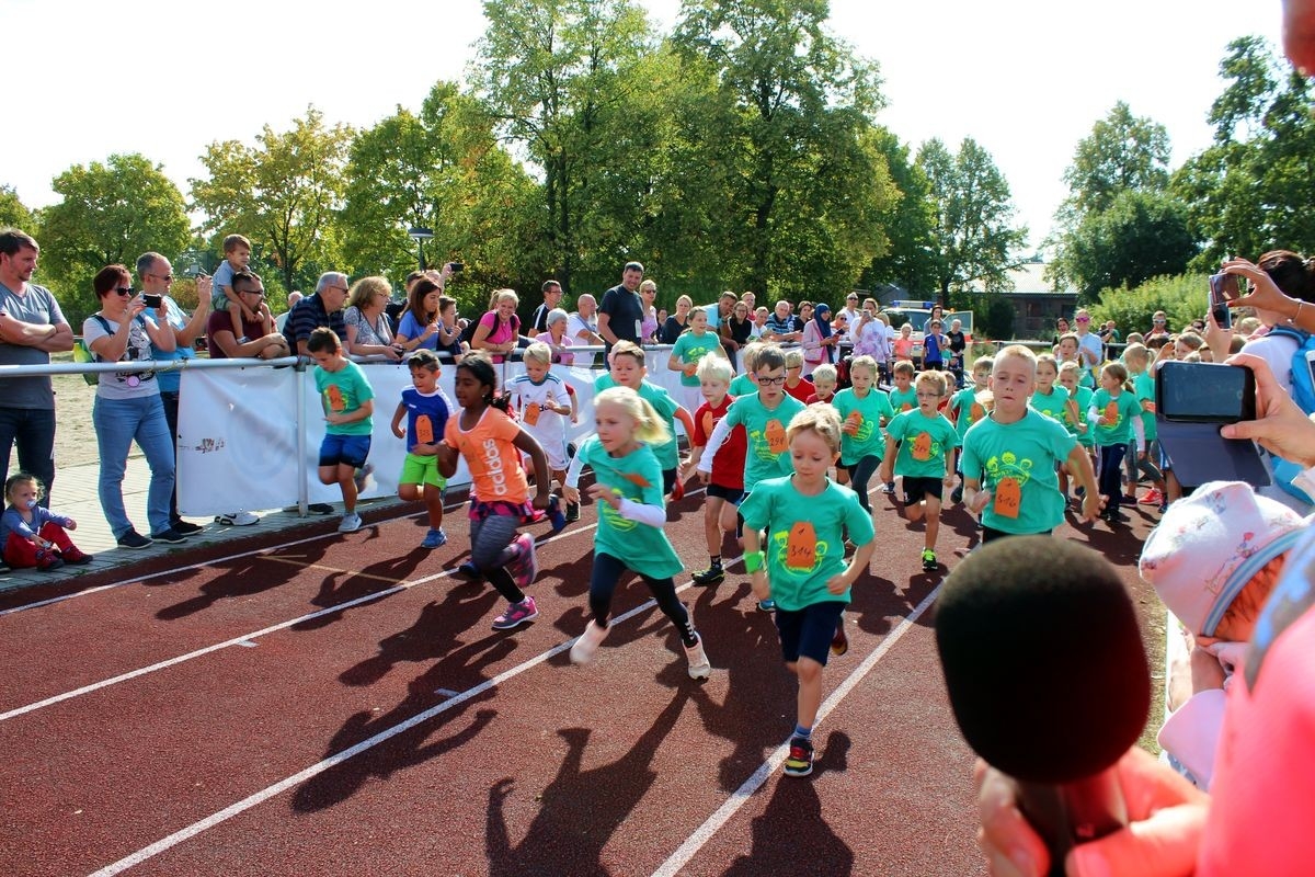 Vorsfelder Eberlauf, Foto: MTV 1862 e.V. Vorsfelde Vorsfelder Eberlauf, Foto: MTV 1862 e.V. Vorsfelde